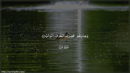 Saad Ayah 52 - Arabic (Wide) wallpaper