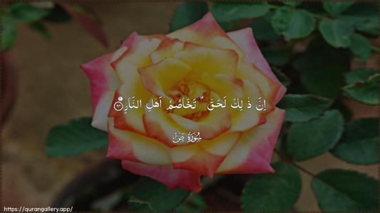 Saad Ayah 64 - Arabic (Wide) wallpaper