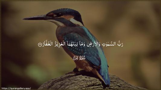 Saad Ayah 66 - Arabic (Wide) wallpaper