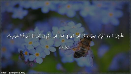 Saad Ayah 8 - Arabic (Wide) wallpaper
