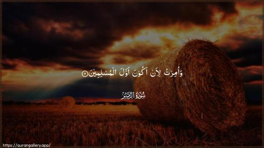 Az-Zumar Ayah 12 - Arabic (Wide) wallpaper