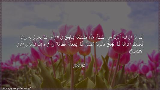 Az-Zumar Ayah 21 - Arabic (Wide) wallpaper