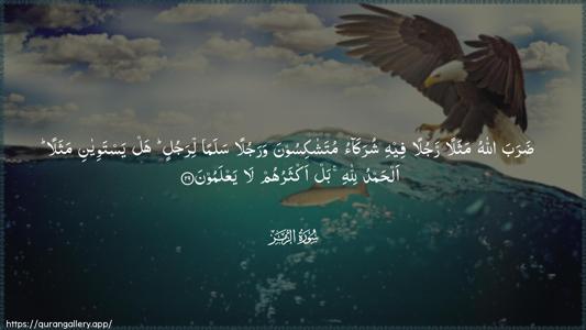 Az-Zumar Ayah 29 - Arabic (Wide) wallpaper