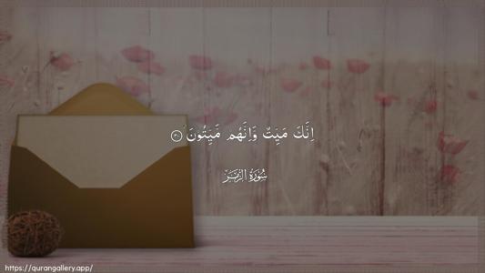 Az-Zumar Ayah 30 - Arabic (Wide) wallpaper
