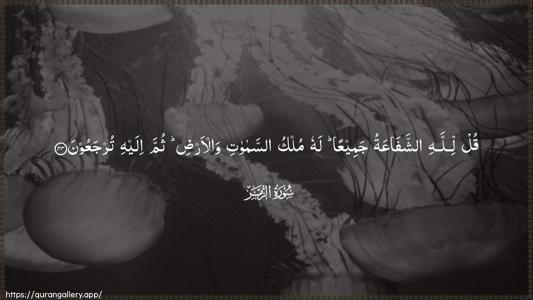 Az-Zumar Ayah 44 - Arabic (Wide) wallpaper