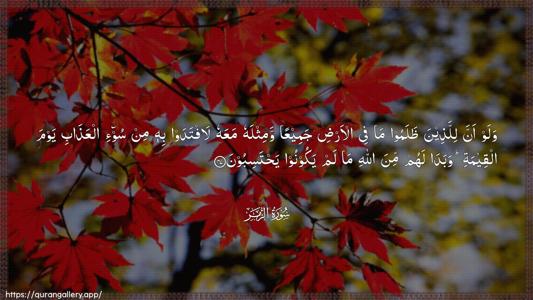Az-Zumar Ayah 47 - Arabic (Wide) wallpaper