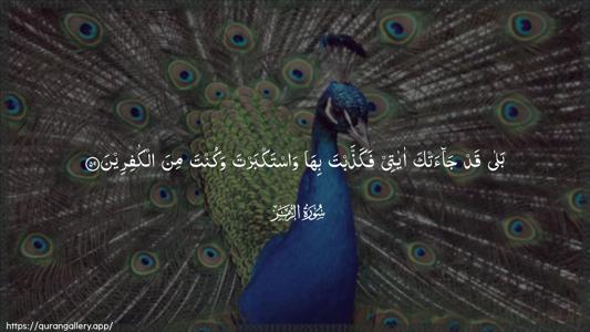 Az-Zumar Ayah 59 - Arabic (Wide) wallpaper