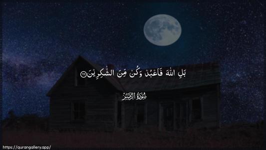 Az-Zumar Ayah 66 - Arabic (Wide) wallpaper