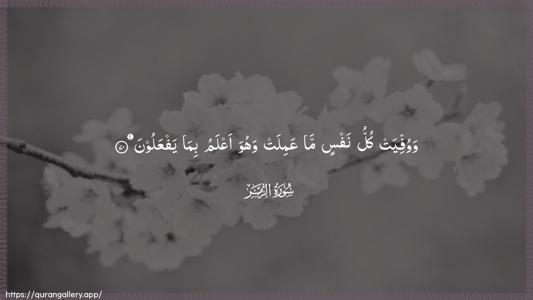 Az-Zumar Ayah 70 - Arabic (Wide) wallpaper
