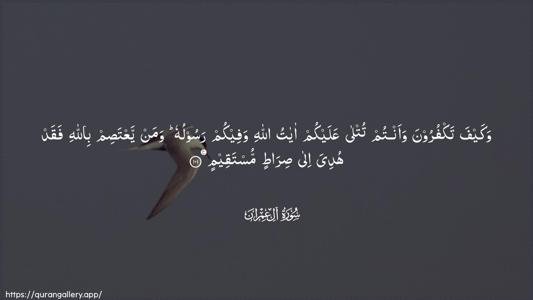 Aal-i-Imraan Ayah 101 - Arabic (Wide) wallpaper
