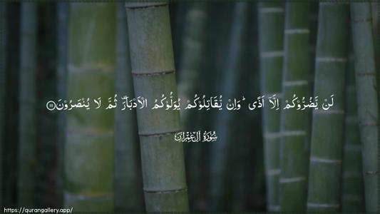 Aal-i-Imraan Ayah 111 - Arabic (Wide) wallpaper