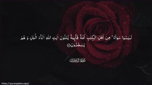 Aal-i-Imraan Ayah 113 - Arabic (Wide) wallpaper