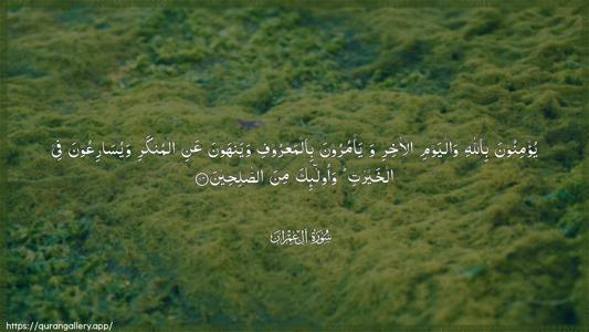 Aal-i-Imraan Ayah 114 - Arabic (Wide) wallpaper