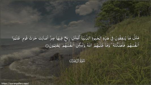 Aal-i-Imraan Ayah 117 - Arabic (Wide) wallpaper