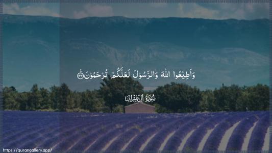 Aal-i-Imraan Ayah 132 - Arabic (Wide) wallpaper