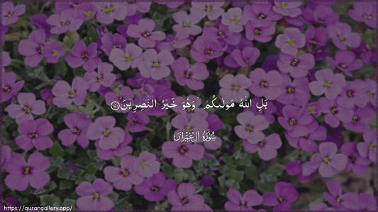 Aal-i-Imraan Ayah 150 - Arabic (Wide) wallpaper