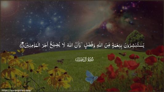 Aal-i-Imraan Ayah 171 - Arabic (Wide) wallpaper