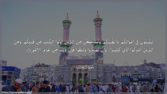Aal-i-Imraan Ayah 186 - Arabic (Wide) wallpaper