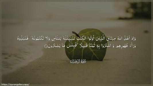Aal-i-Imraan Ayah 187 - Arabic (Wide) wallpaper