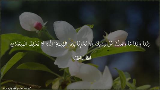 Aal-i-Imraan Ayah 194 - Arabic (Wide) wallpaper