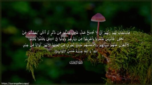 Aal-i-Imraan Ayah 195 - Arabic (Wide) wallpaper