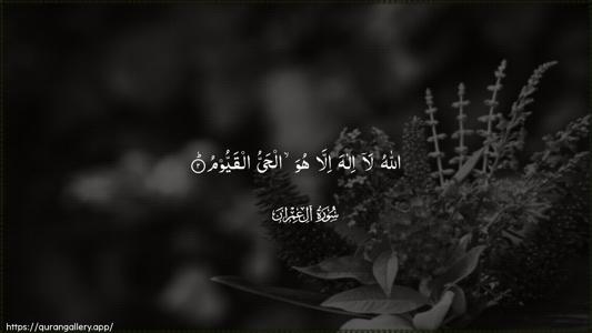 Aal-i-Imraan Ayah 2 - Arabic (Wide) wallpaper