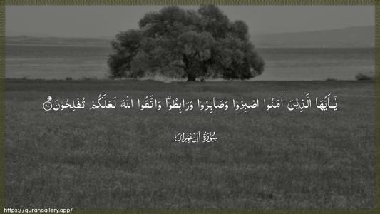 Aal-i-Imraan Ayah 200 - Arabic (Wide) wallpaper