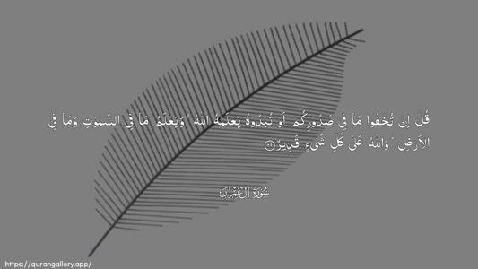 Aal-i-Imraan Ayah 29 - Arabic (Wide) wallpaper