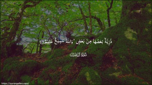 Aal-i-Imraan Ayah 34 - Arabic (Wide) wallpaper
