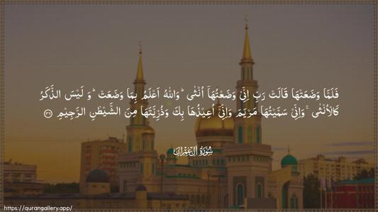 Aal-i-Imraan Ayah 36 - Arabic (Wide) wallpaper