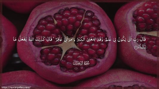 Aal-i-Imraan Ayah 40 - Arabic (Wide) wallpaper