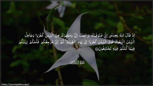 Aal-i-Imraan Ayah 55 - Arabic (Wide) wallpaper