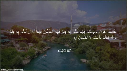 Aal-i-Imraan Ayah 66 - Arabic (Wide) wallpaper