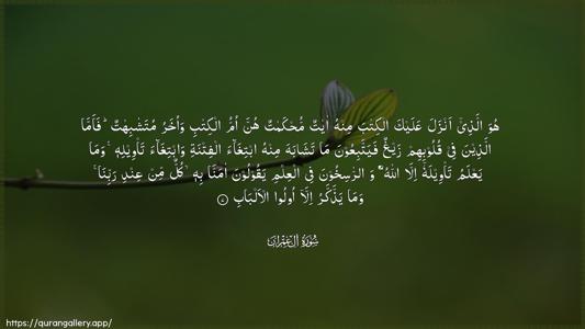 Aal-i-Imraan Ayah 7 - Arabic (Wide) wallpaper