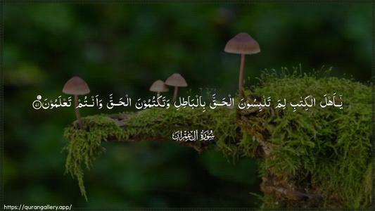 Aal-i-Imraan Ayah 71 - Arabic (Wide) wallpaper