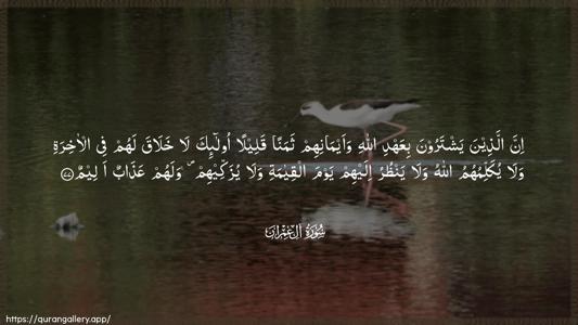 Aal-i-Imraan Ayah 77 - Arabic (Wide) wallpaper