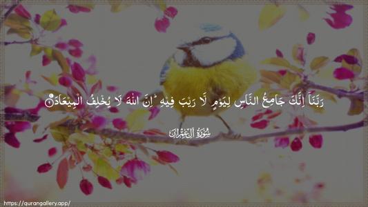 Aal-i-Imraan Ayah 9 - Arabic (Wide) wallpaper