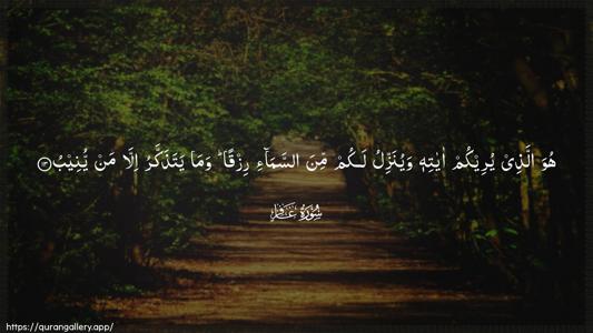 Al-Ghaafir Ayah 13 - Arabic (Wide) wallpaper