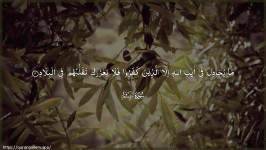 Al-Ghaafir Ayah 4 - Arabic (Wide) wallpaper