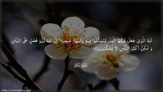 Al-Ghaafir Ayah 61 - Arabic (Wide) wallpaper