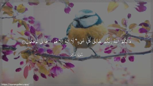 Al-Ghaafir Ayah 62 - Arabic (Wide) wallpaper