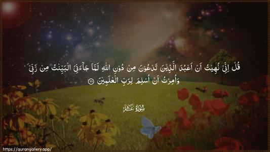 Al-Ghaafir Ayah 66 - Arabic (Wide) wallpaper