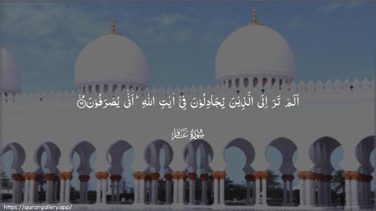 Al-Ghaafir Ayah 69 - Arabic (Wide) wallpaper