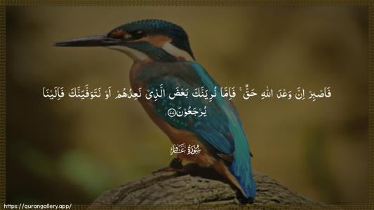 Al-Ghaafir Ayah 77 - Arabic (Wide) wallpaper