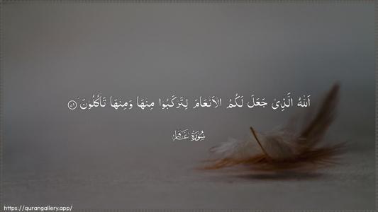 Al-Ghaafir Ayah 79 - Arabic (Wide) wallpaper