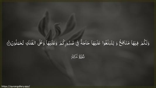 Al-Ghaafir Ayah 80 - Arabic (Wide) wallpaper