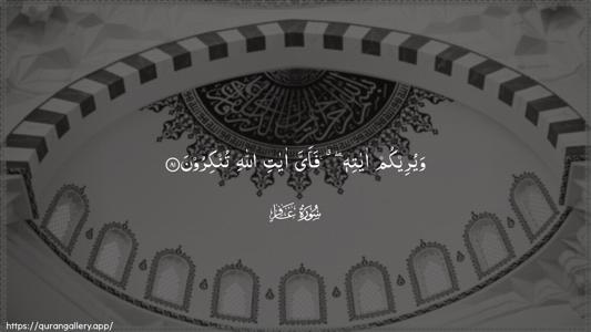 Al-Ghaafir Ayah 81 - Arabic (Wide) wallpaper