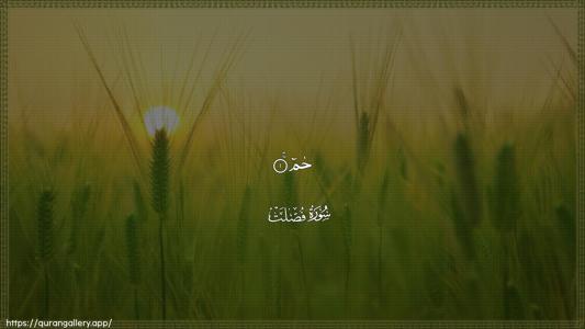 Fussilat Ayah 1 - Arabic (Wide) wallpaper