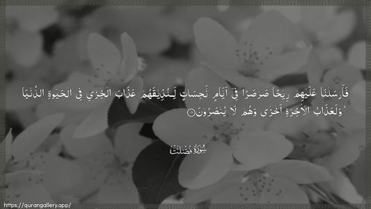 Fussilat Ayah 16 - Arabic (Wide) wallpaper