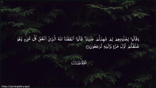 Fussilat Ayah 21 - Arabic (Wide) wallpaper